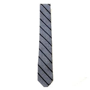Express Men’s Striped Tie w/ Silk Lining